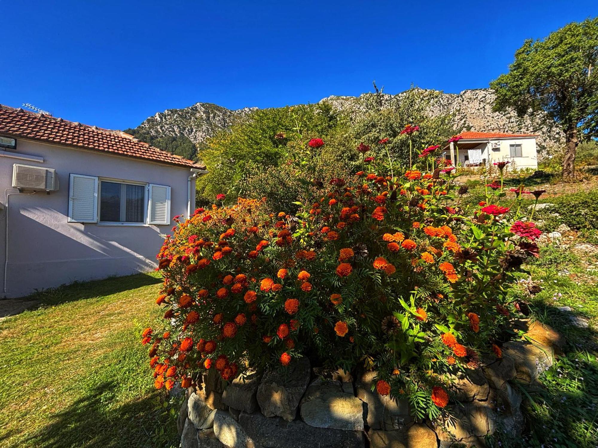 Georgaras Accommodation Platanoussa Exterior photo